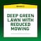 Amdro Pennington Ironite All-Purpose Lawn Fertilizer For All Grasses 1000 sq ft 100544882 - alternate 5